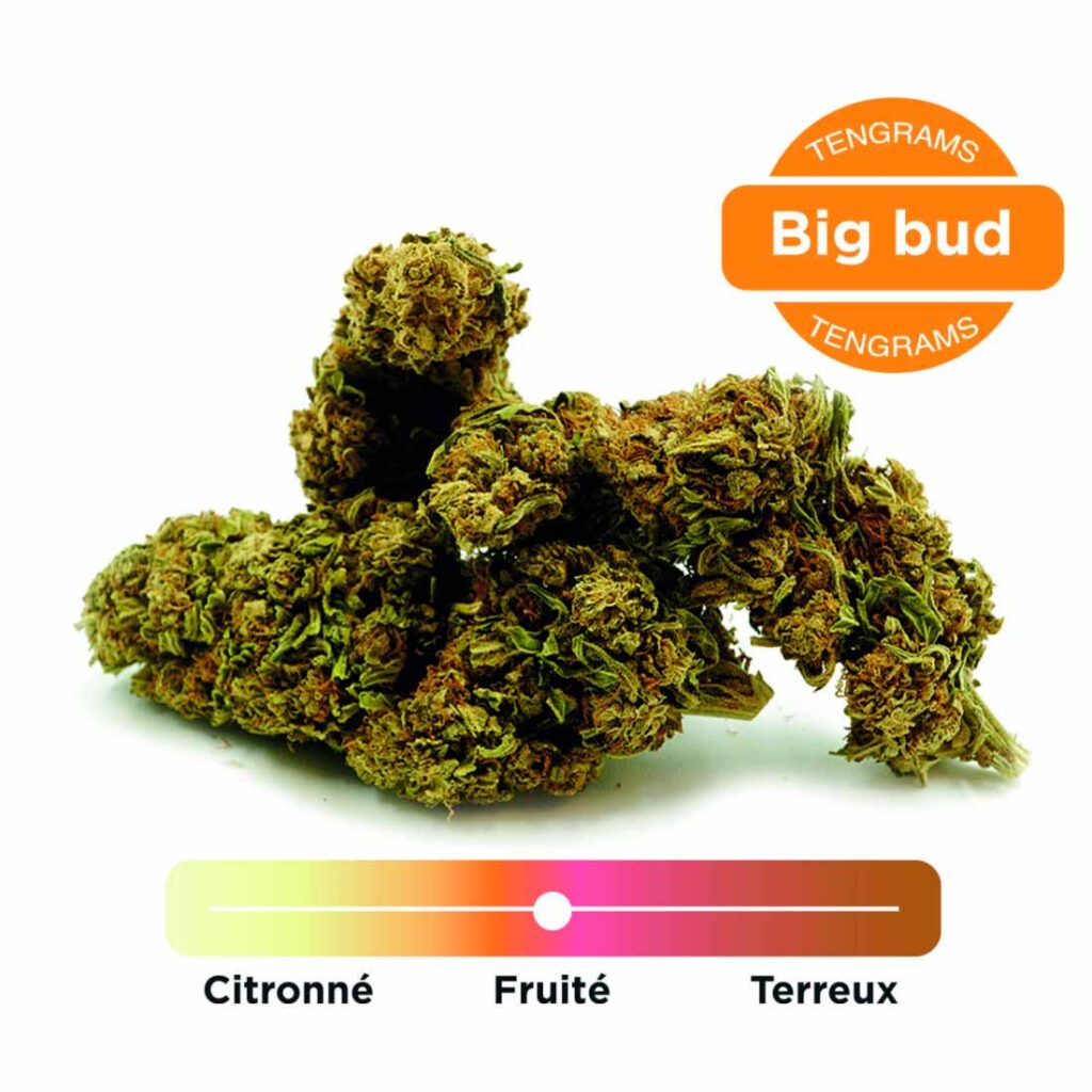 Fleurs de CBG Star 5 indoor