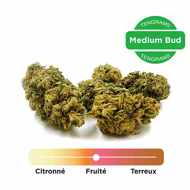 Fleurs de CBD White Widow greenhouse